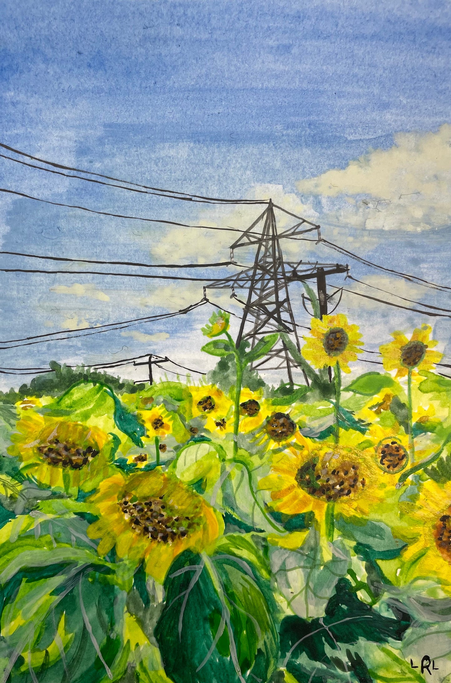 Highway Sunflowers by Lauren Leaker
