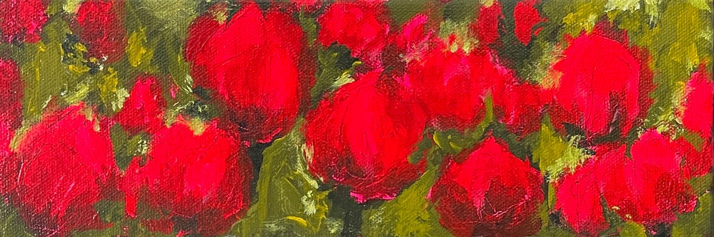 Brenda McCafferty - Blessed