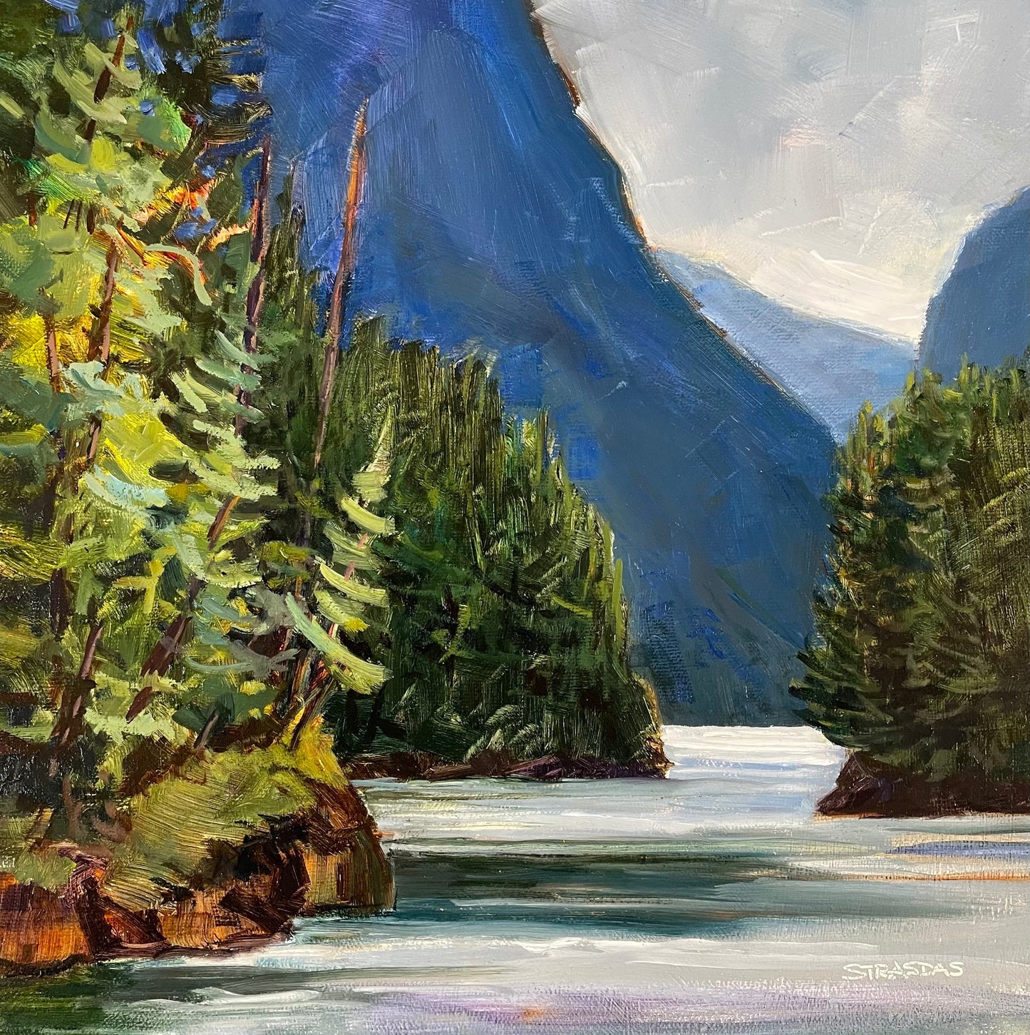 Passages by Marcela Strasdas