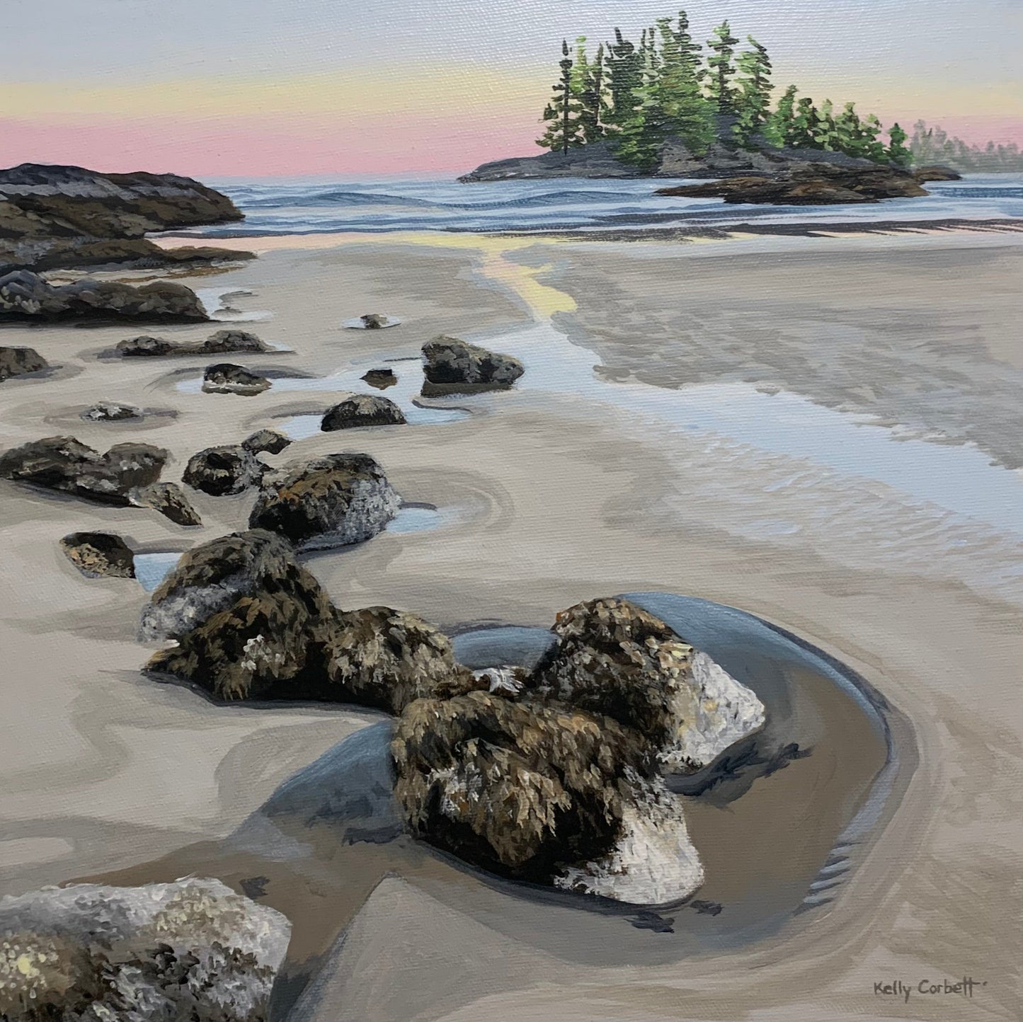 Plexus II by Kelly Corbett