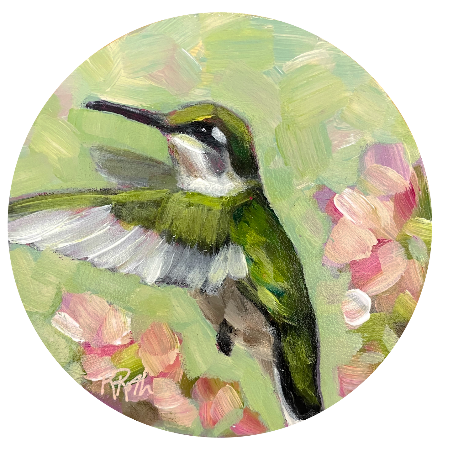 Sadie by Raquel Roth