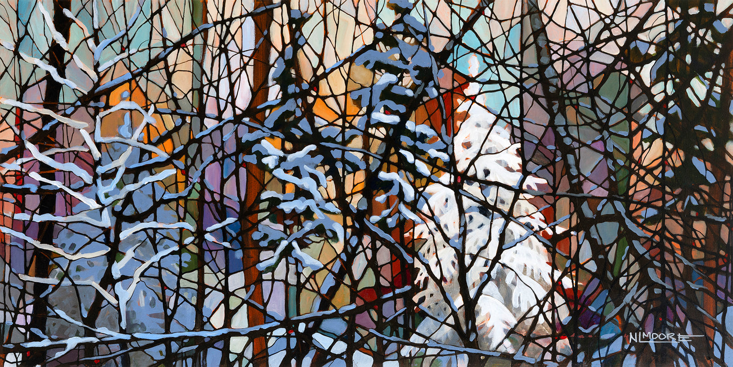 Nancy L Moore - Snowy Spruce Sunbathing