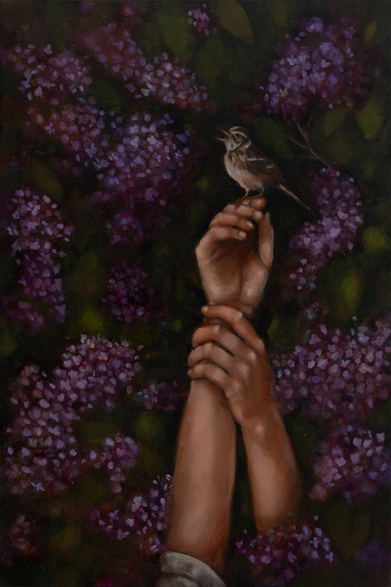 Amanda Immurs - Songbird Like Never Before