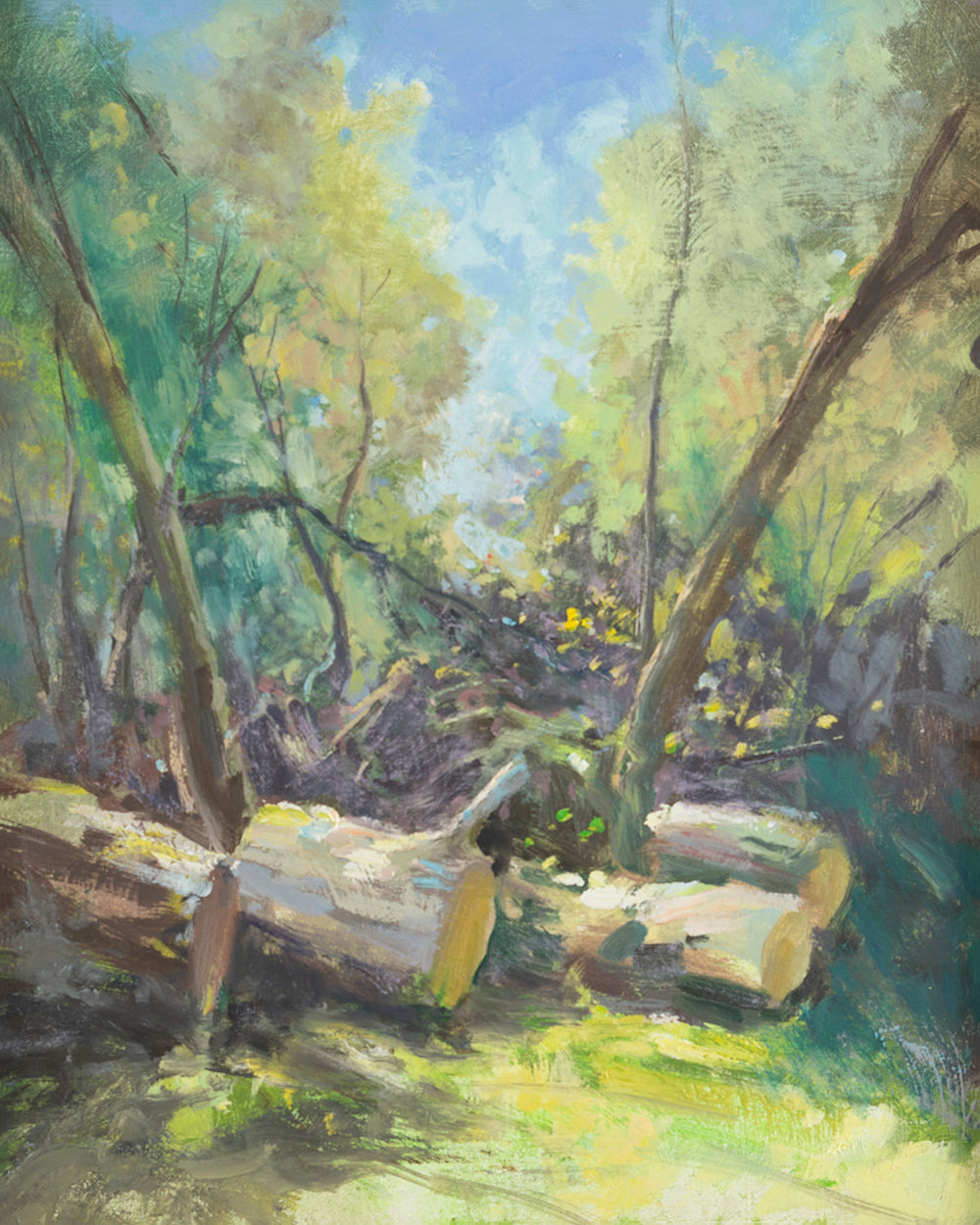 Stumped by Andrew Judd