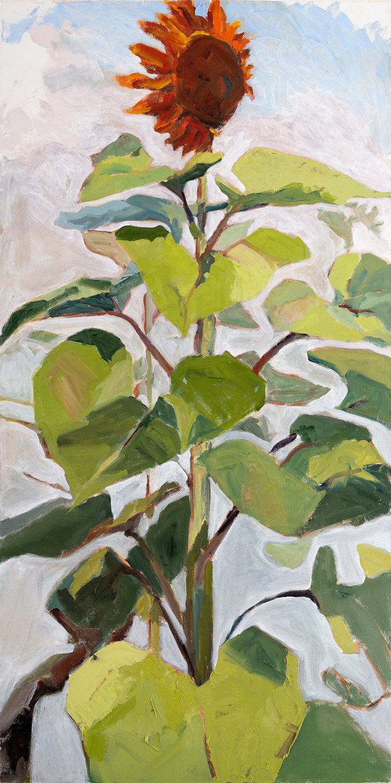 Corine Van Hoeve - Sunflower