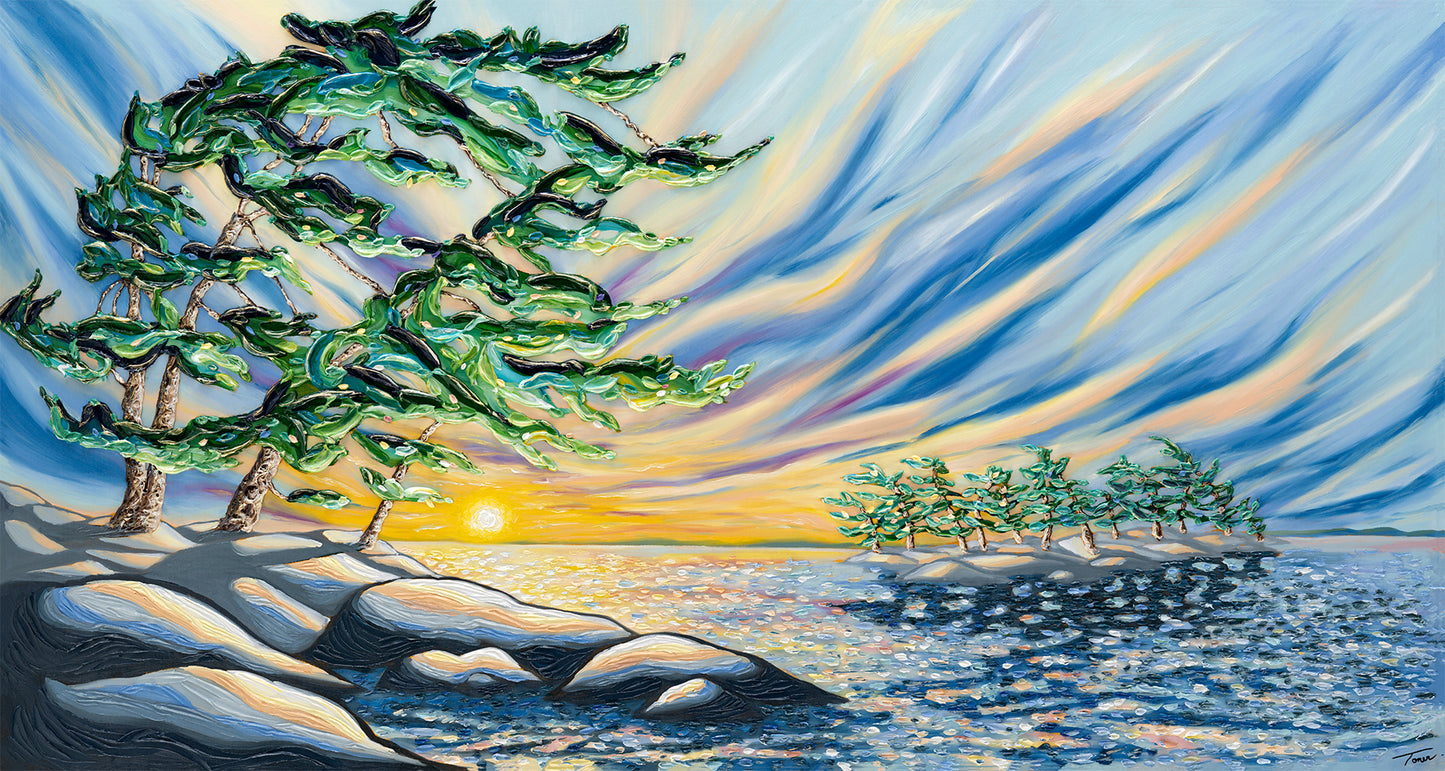 The Colours Of Life by Ashley Toner