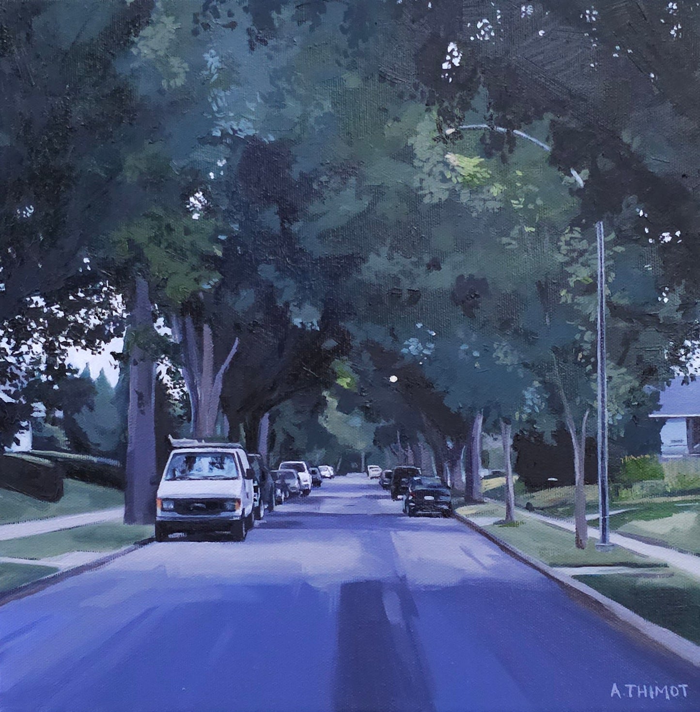 The Shade of Trees by Ashley Thimot