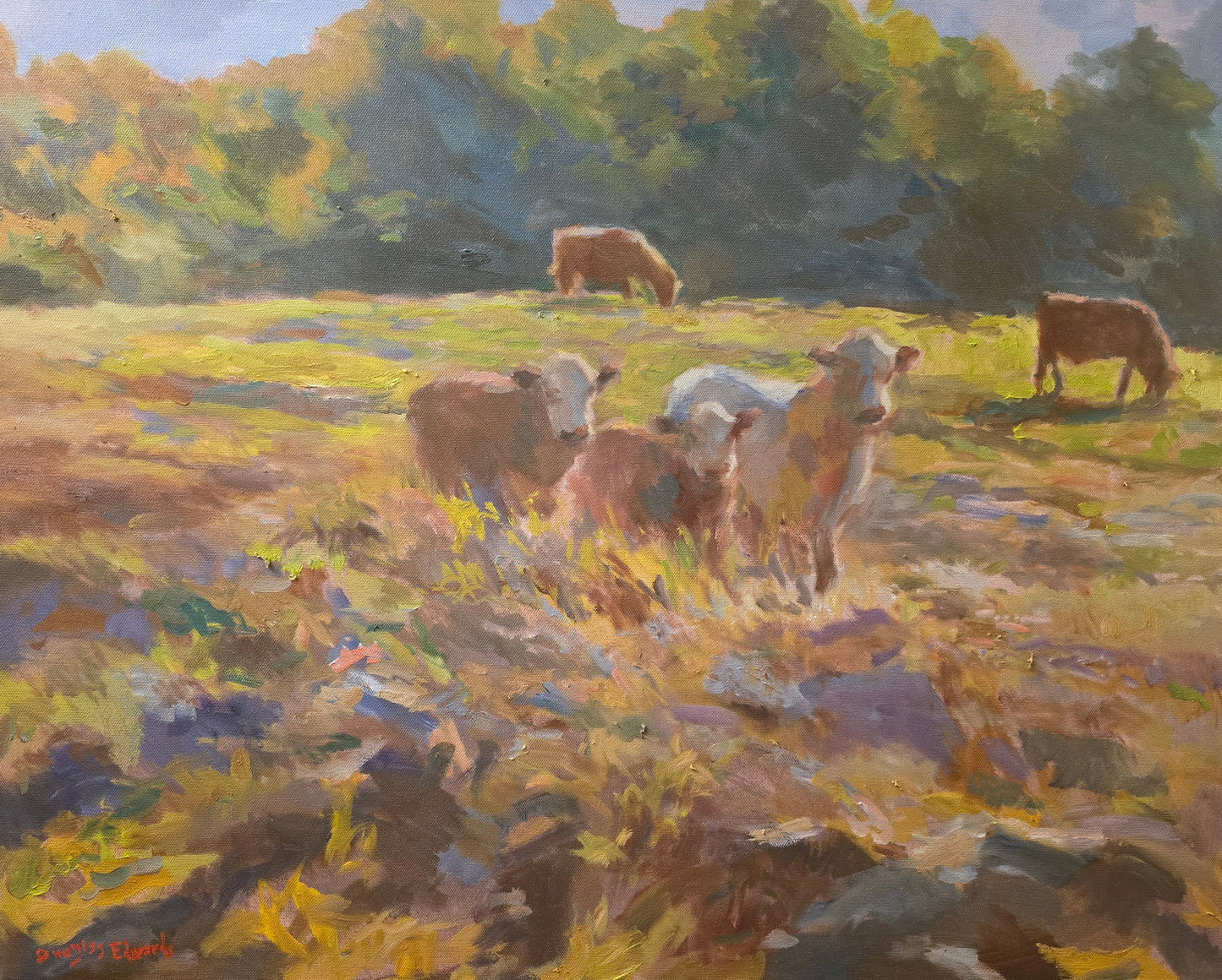 Douglas Edwards - Herefords Grazing