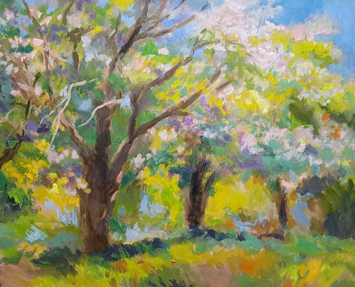 Douglas Edwards - Wild Apple Blossoms