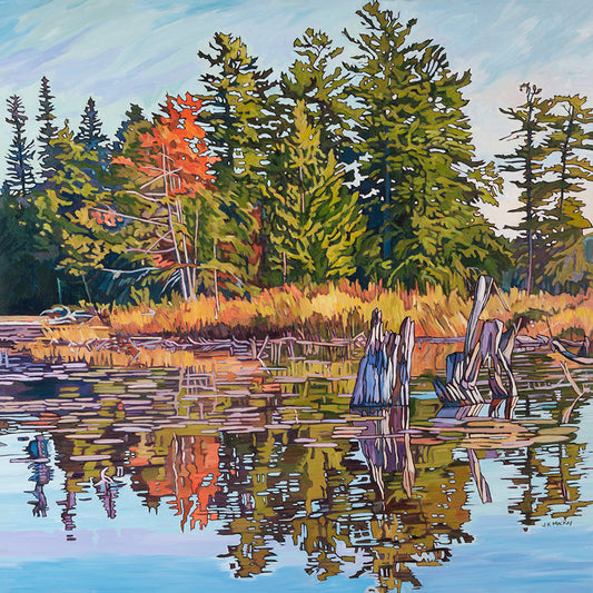 Autumn Reflection by Janet K. MacKay