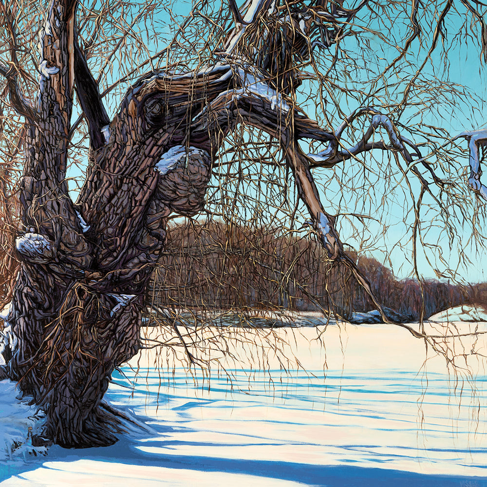 Marten Visser - Begin Again by Marten Visser