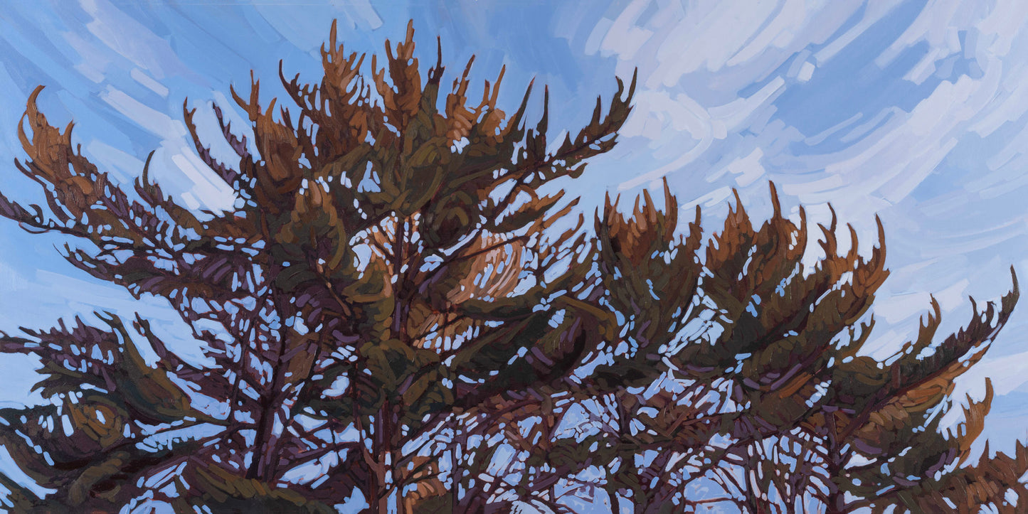 Meghan Irvine - Face Towards the Sun by Meghan Irvine