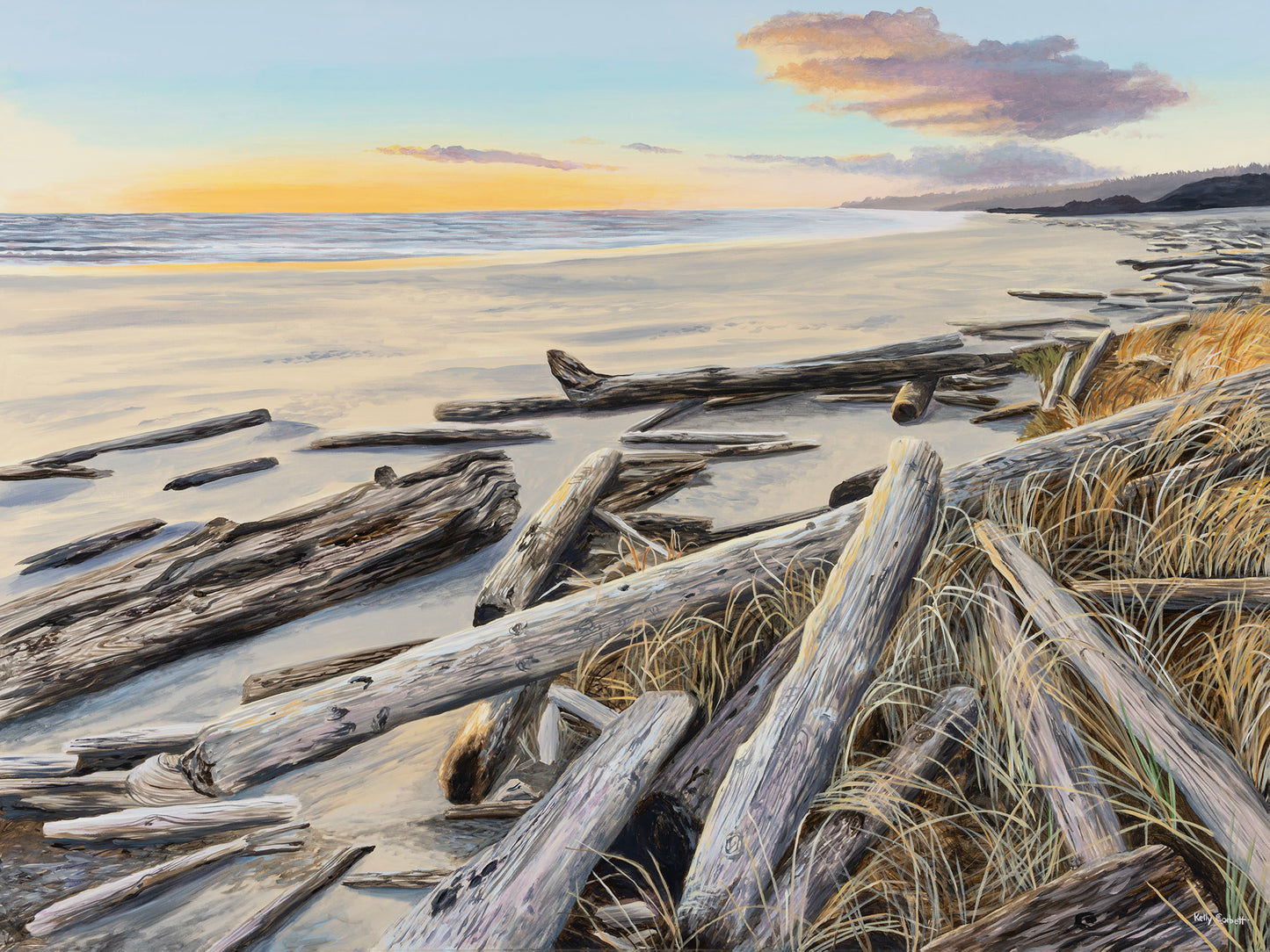 Kelly Corbett - Haven by Kelly Corbett