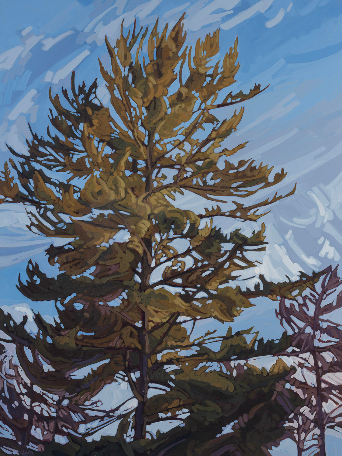 Meghan Irvine - Things are Looking Up by Meghan Irvine