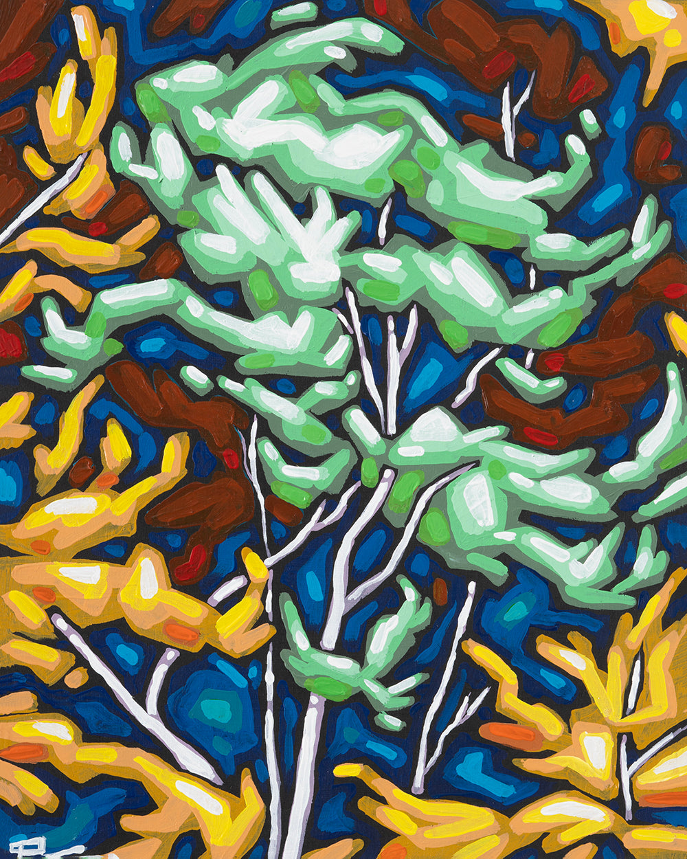 Paul Jacob Chapman - Dancing Pine - 14x11