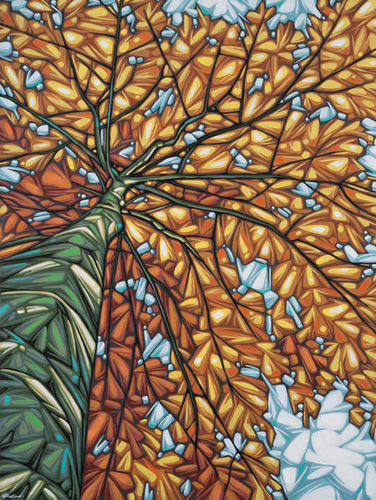 Fall Canopy by Paul Jacob Chapman