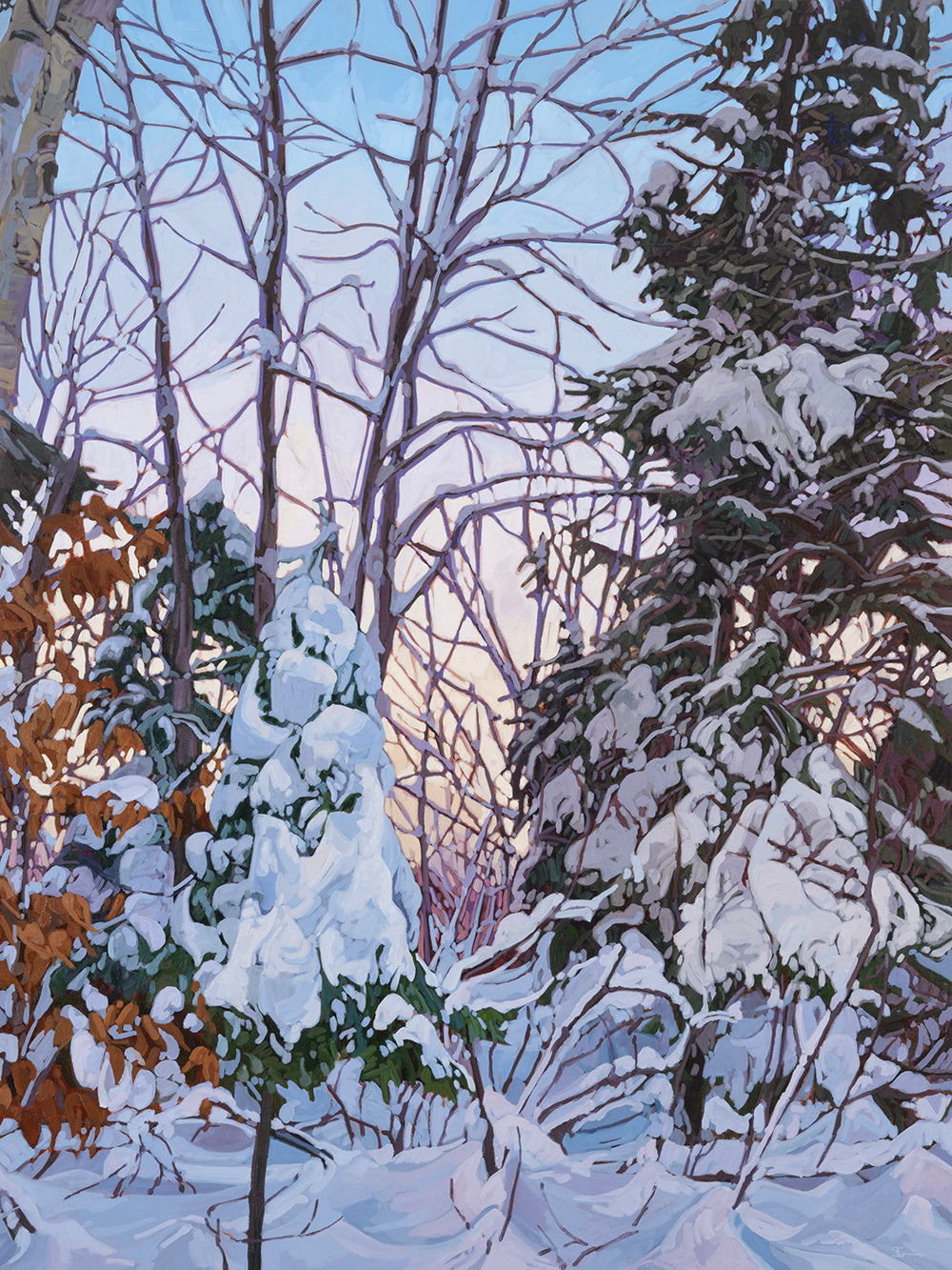 First Tracks by Meghan Irvine