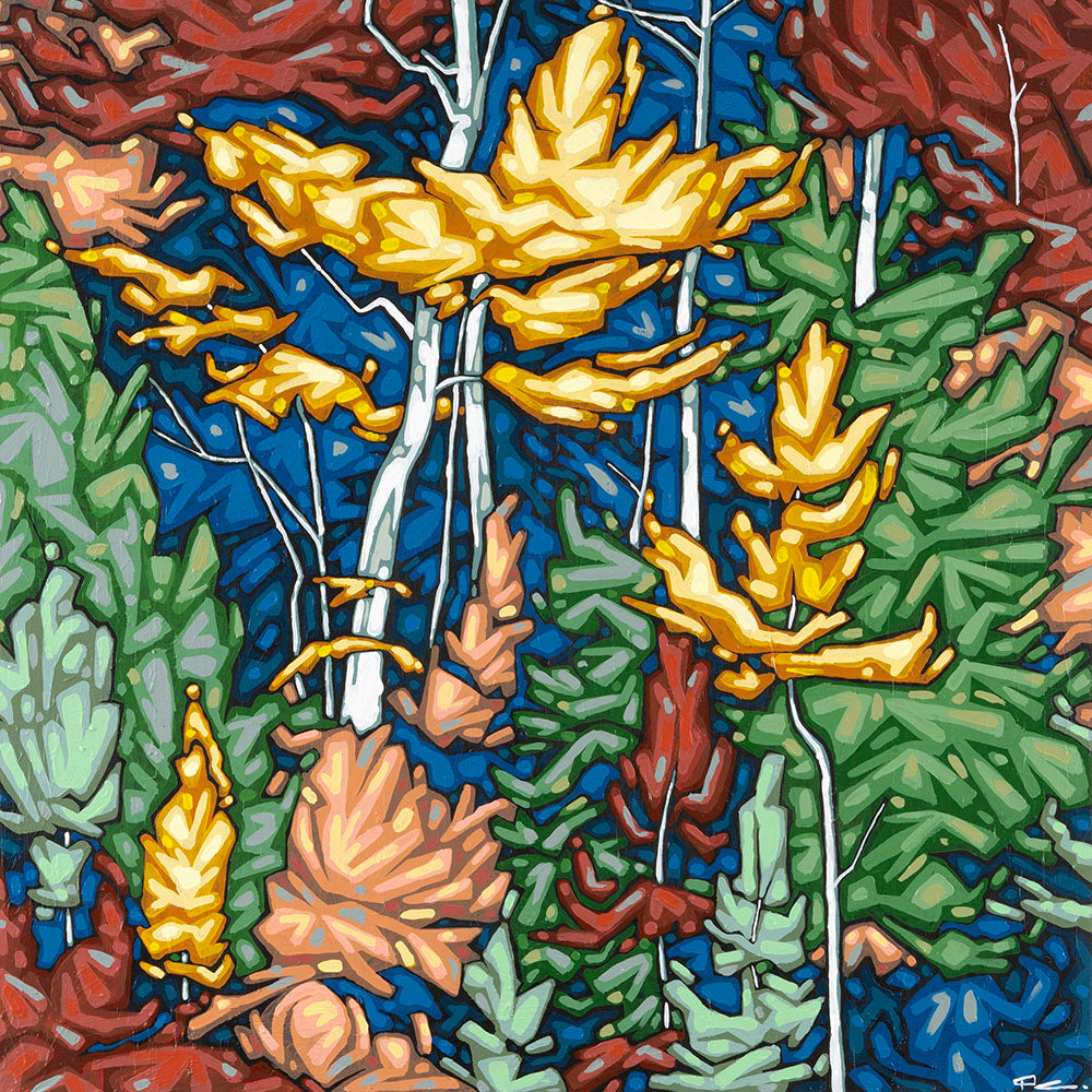 PJ Chapman - Forest Colour by PJ Chapman