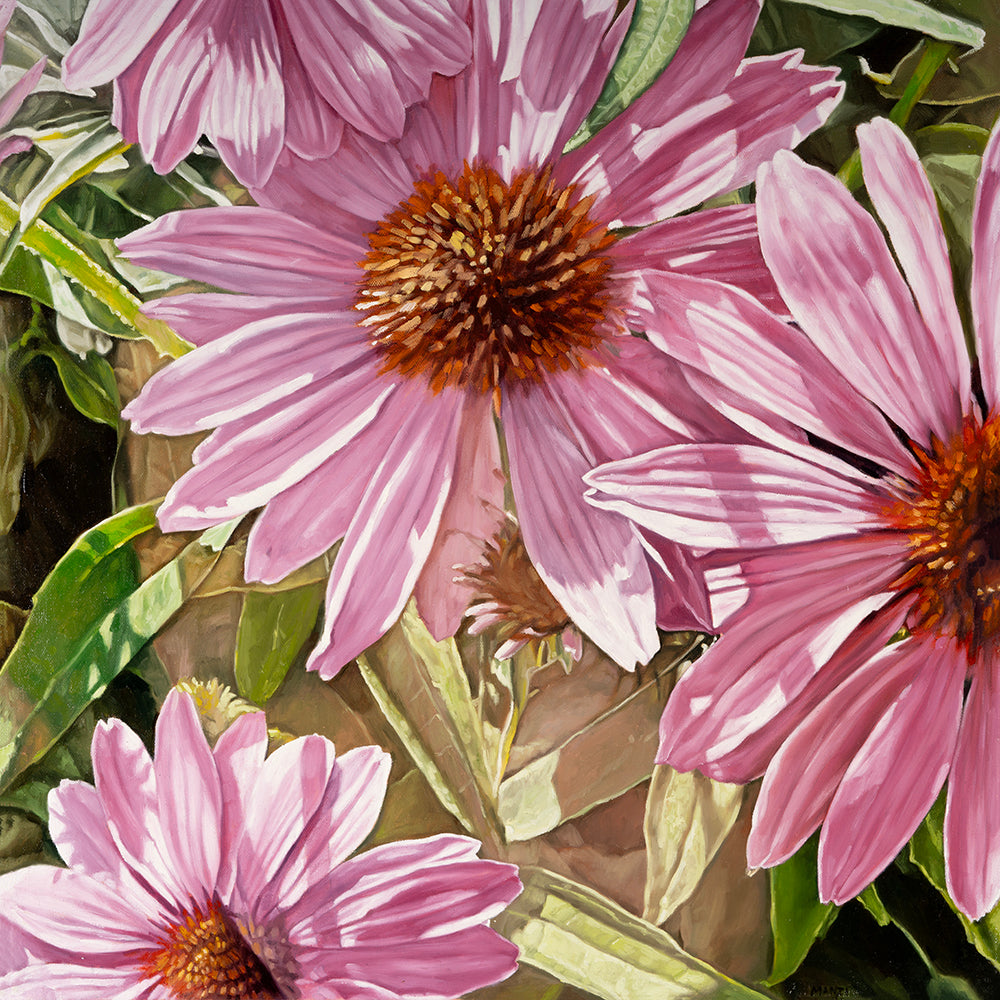 Pink Mystery by Sandra Manzi