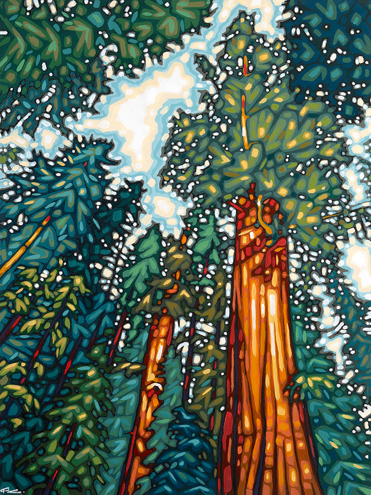 PJ Chapman - Redwood by PJ Chapman