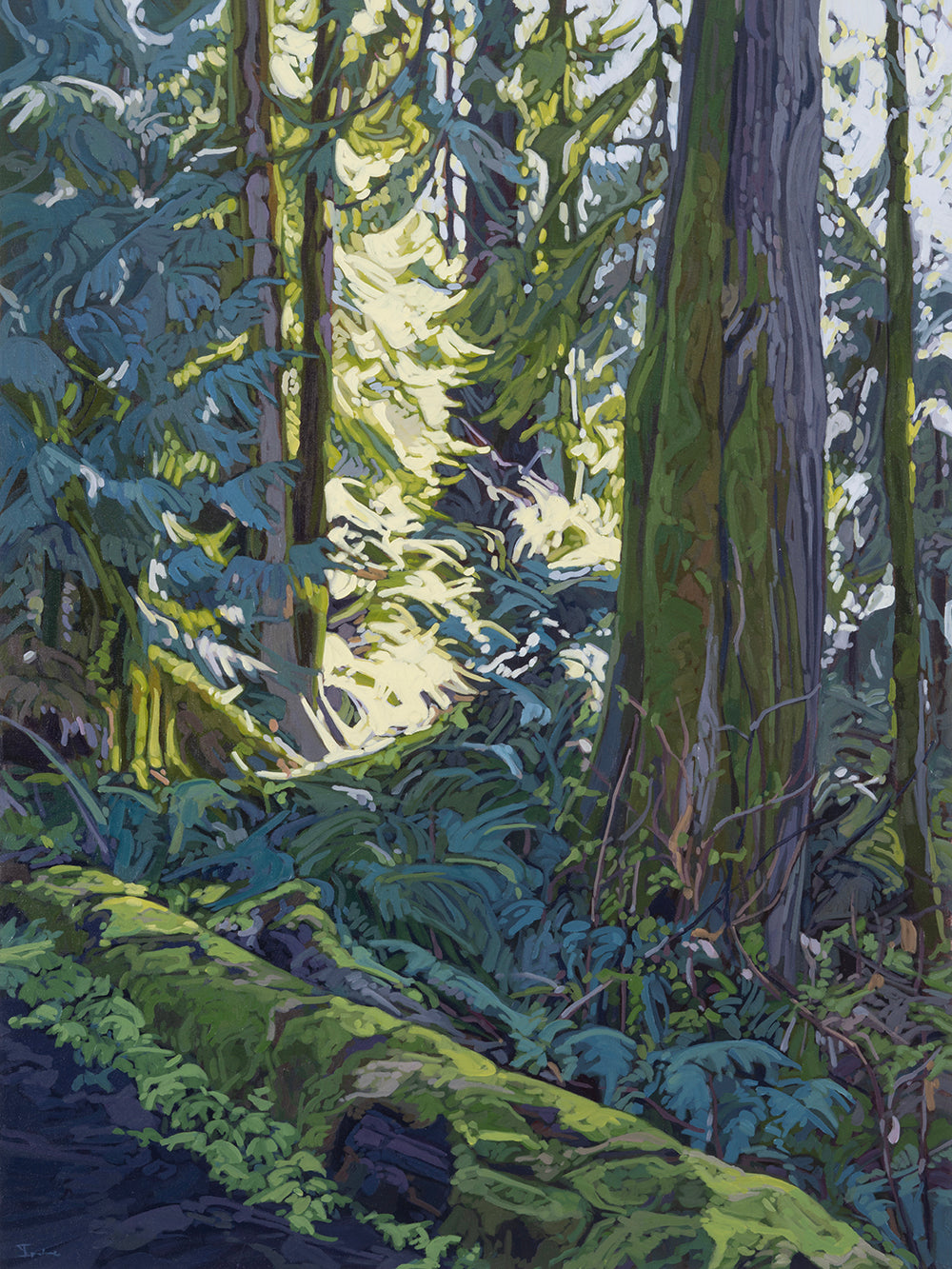 The Light Off The Path by Meghan Irvine