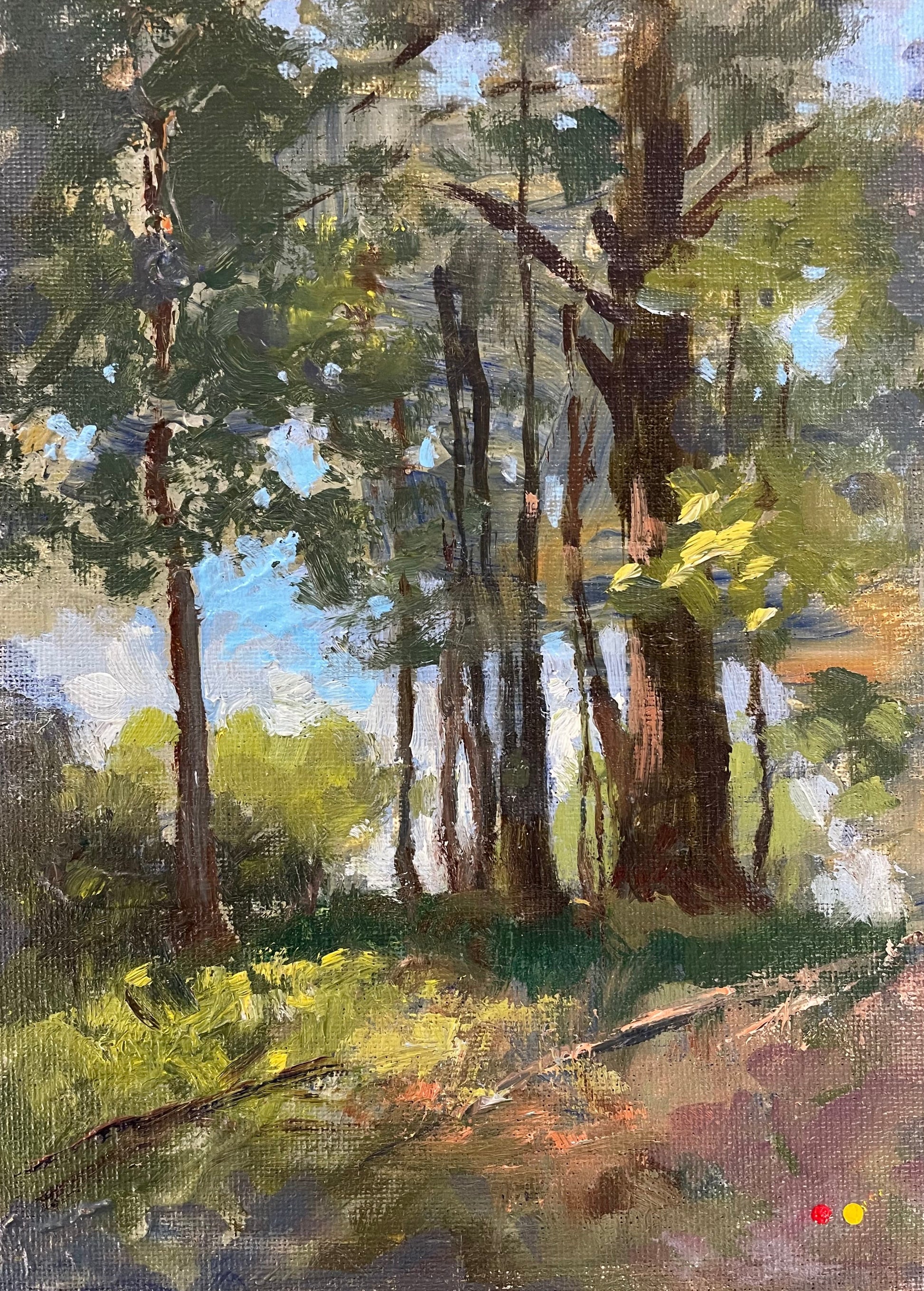 AdirondacksTrees by Andrew Judd