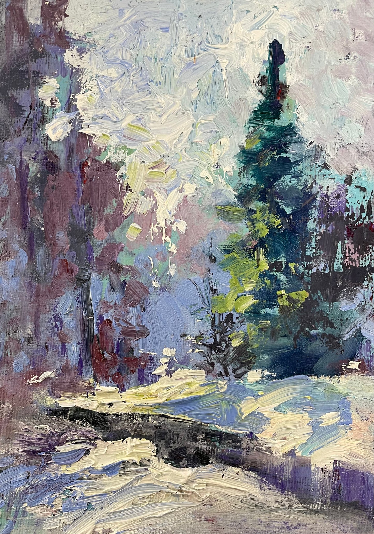 Algonquin Winter by Andrew Judd