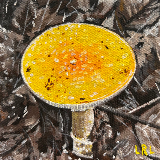 Amanita Muscaria by Lauren Leaker