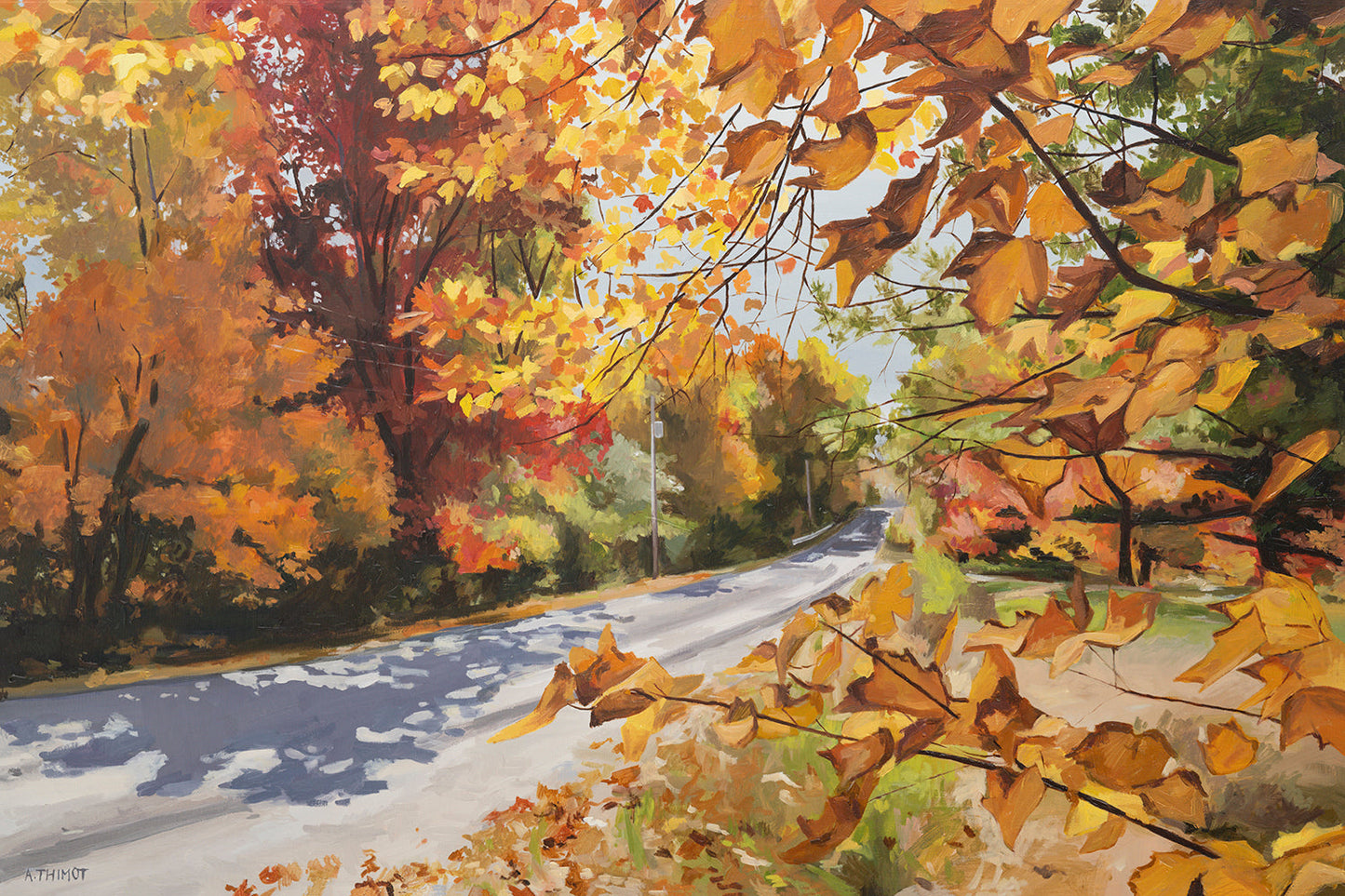Autumn Road by Ashley Thimot