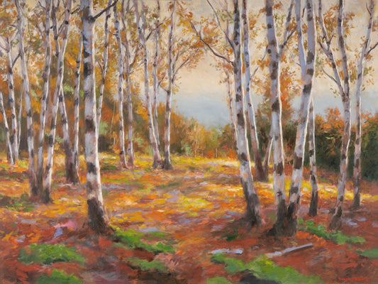 Birch Forest by Douglas Edwards