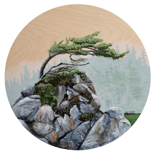 Curve  by Kelly Corbett