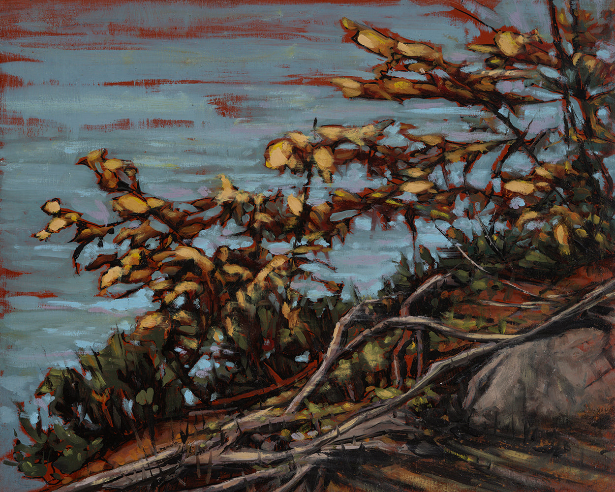 Dressing Gown by Marten Visser