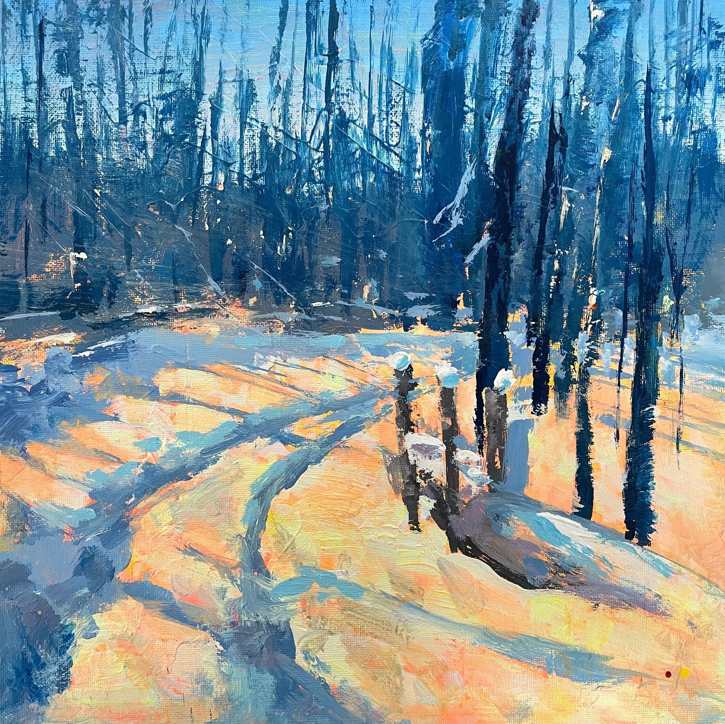 Evening Light In The Forest by Andrew Judd