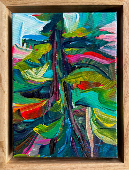 Evergreen by Julia Veenstra 