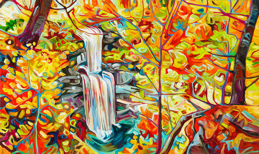 Felkers Falls  by Julia Veenstra