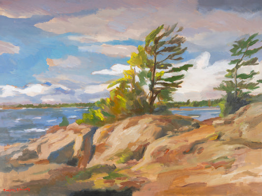 Georgian Bay Pines by Douglas Edwards