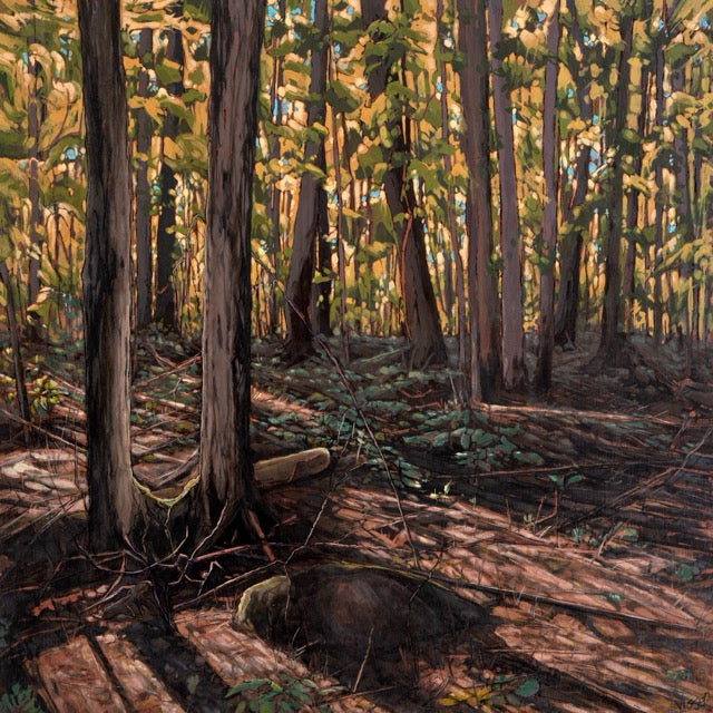 Marten Visser - Golden Slumbers