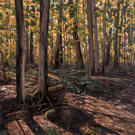 Marten Visser - Golden Slumbers