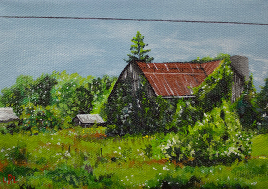 Lauren Leaker - Barn Study