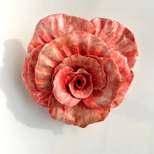 Amy Bowles - Red Flower