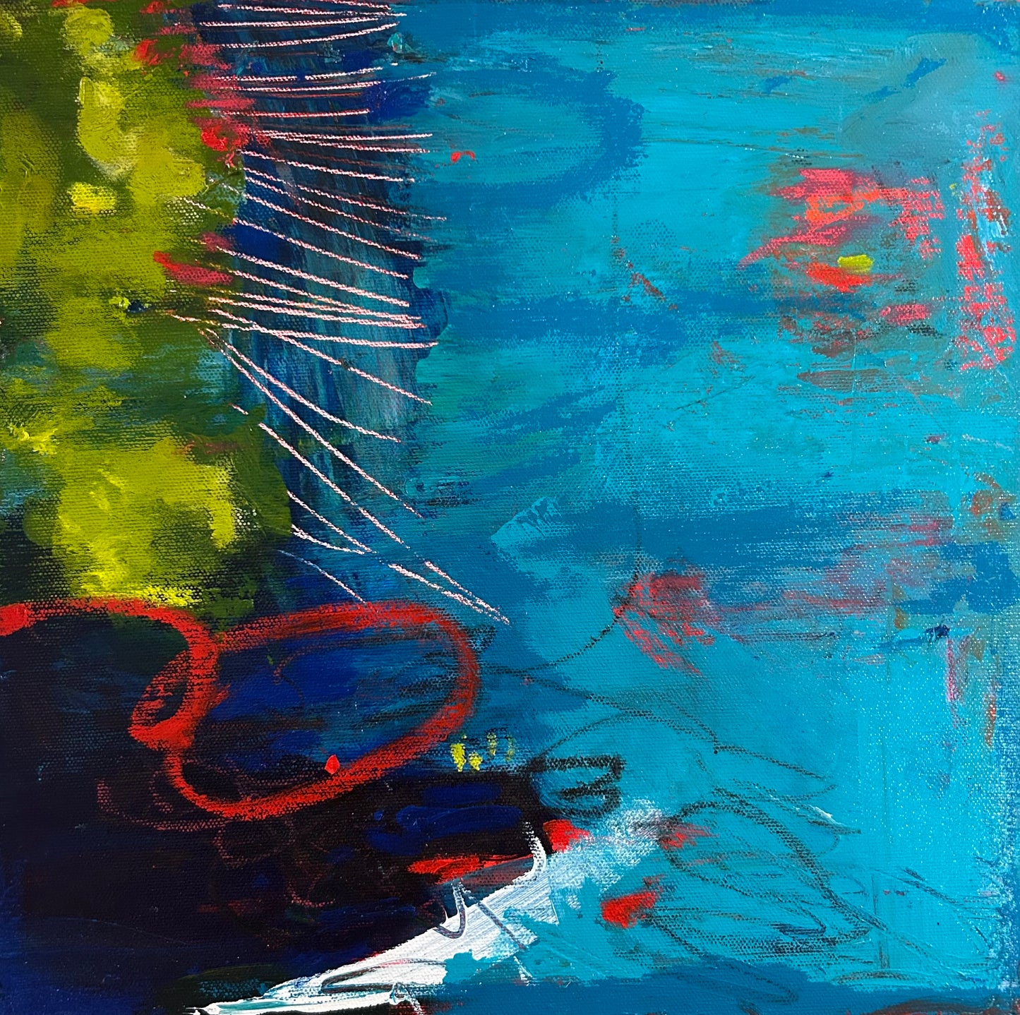 Forest View by Julia Veenstra