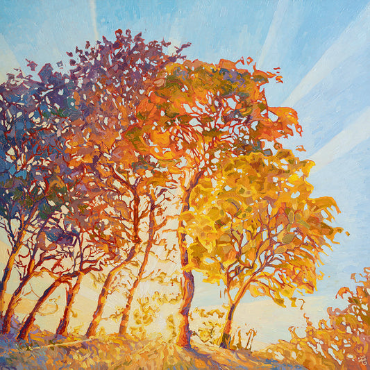 Shams by Sarah Hayek