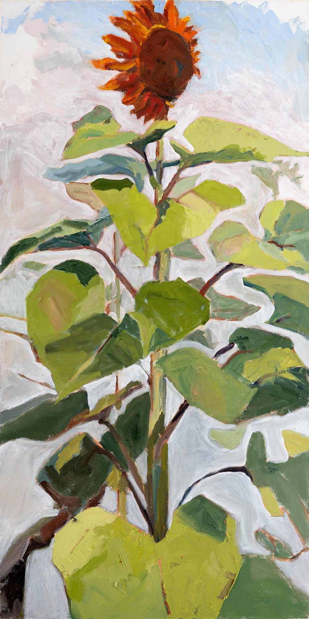 Corine Van Hoeve - Sunflower