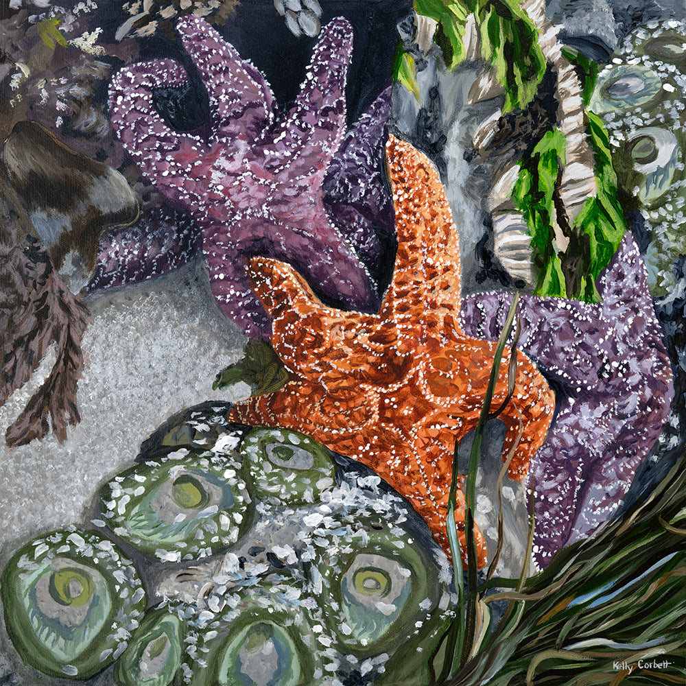 Tidal by Kelly Corbett