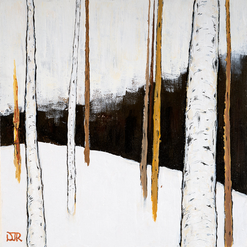 Winter Birch Stillness D by Doug Robinson