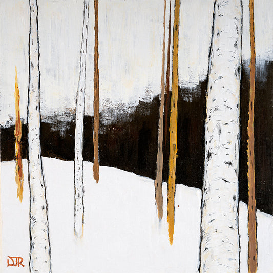 Winter Birch Stillness D by Doug Robinson