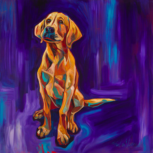 Yellow Lab by Julia Veenstra