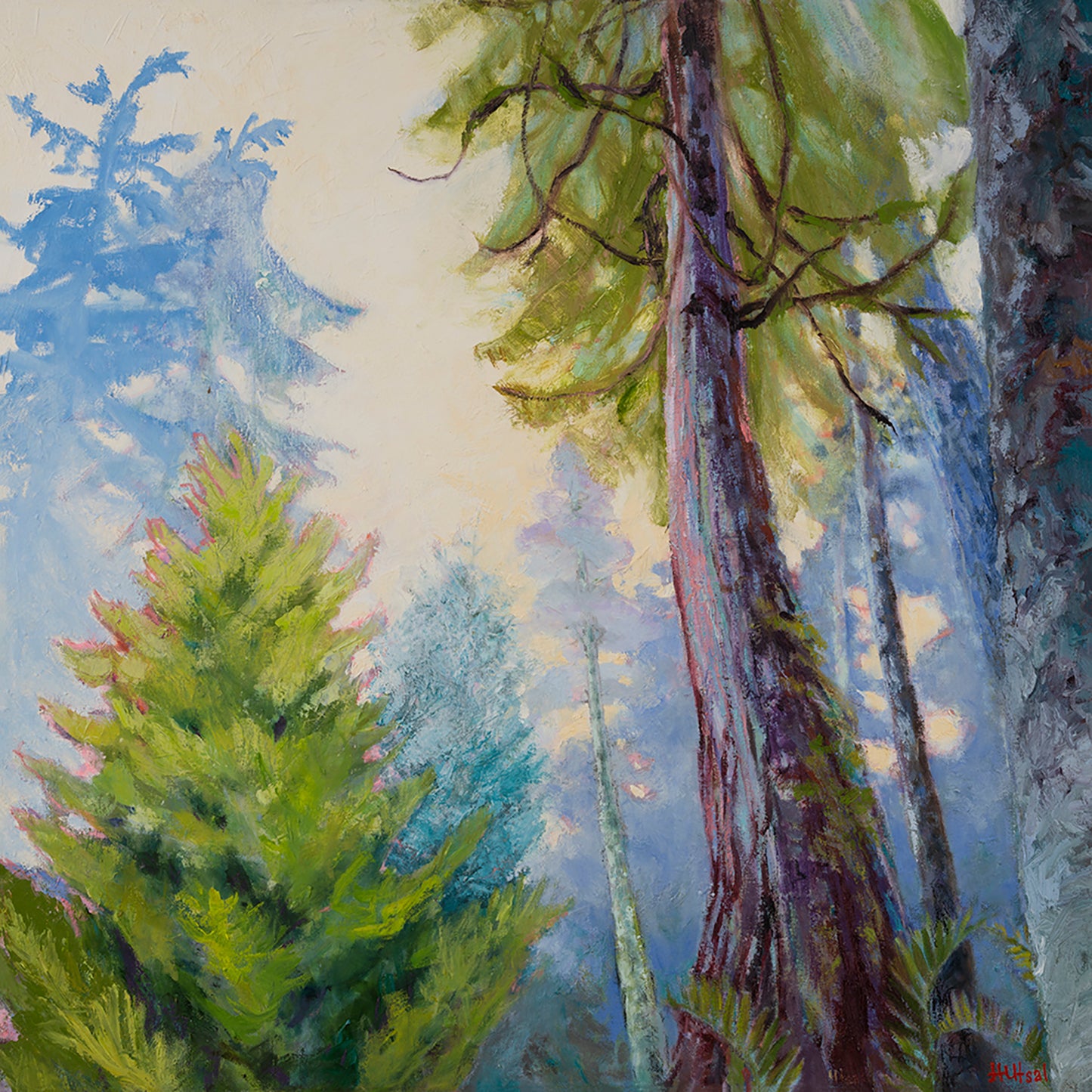Helen Utsal - Wandering Woods by Helen Utsal