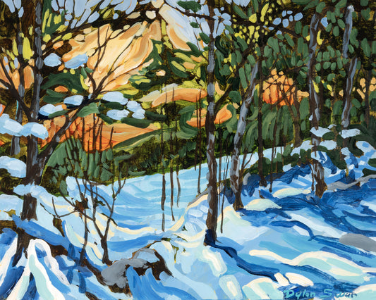 Dylan Swan Snowy Wood 2 - 8x10